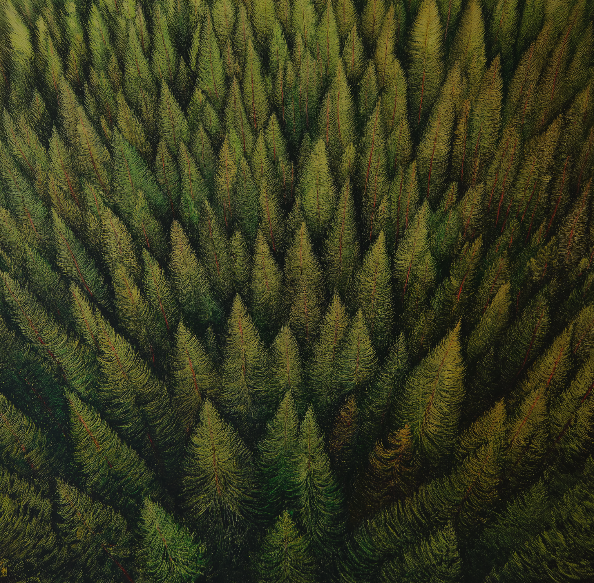 Pine trees